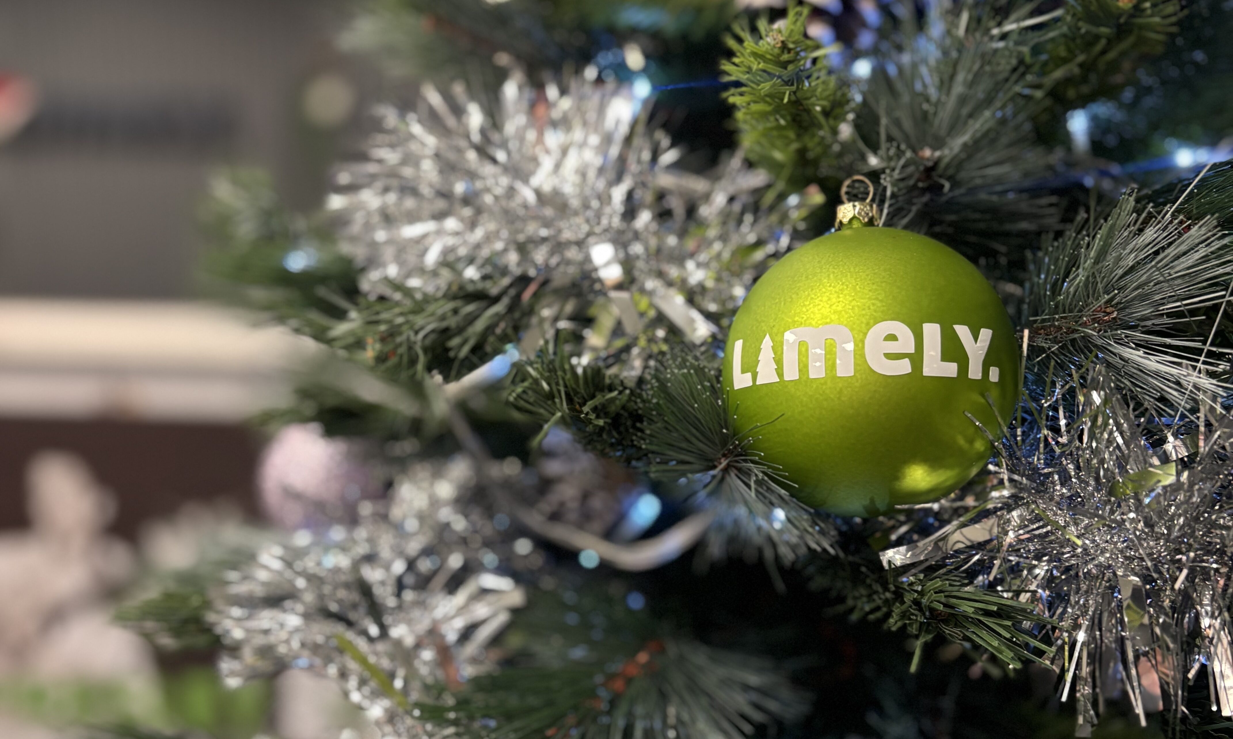 Our Monthly Round-Up: December