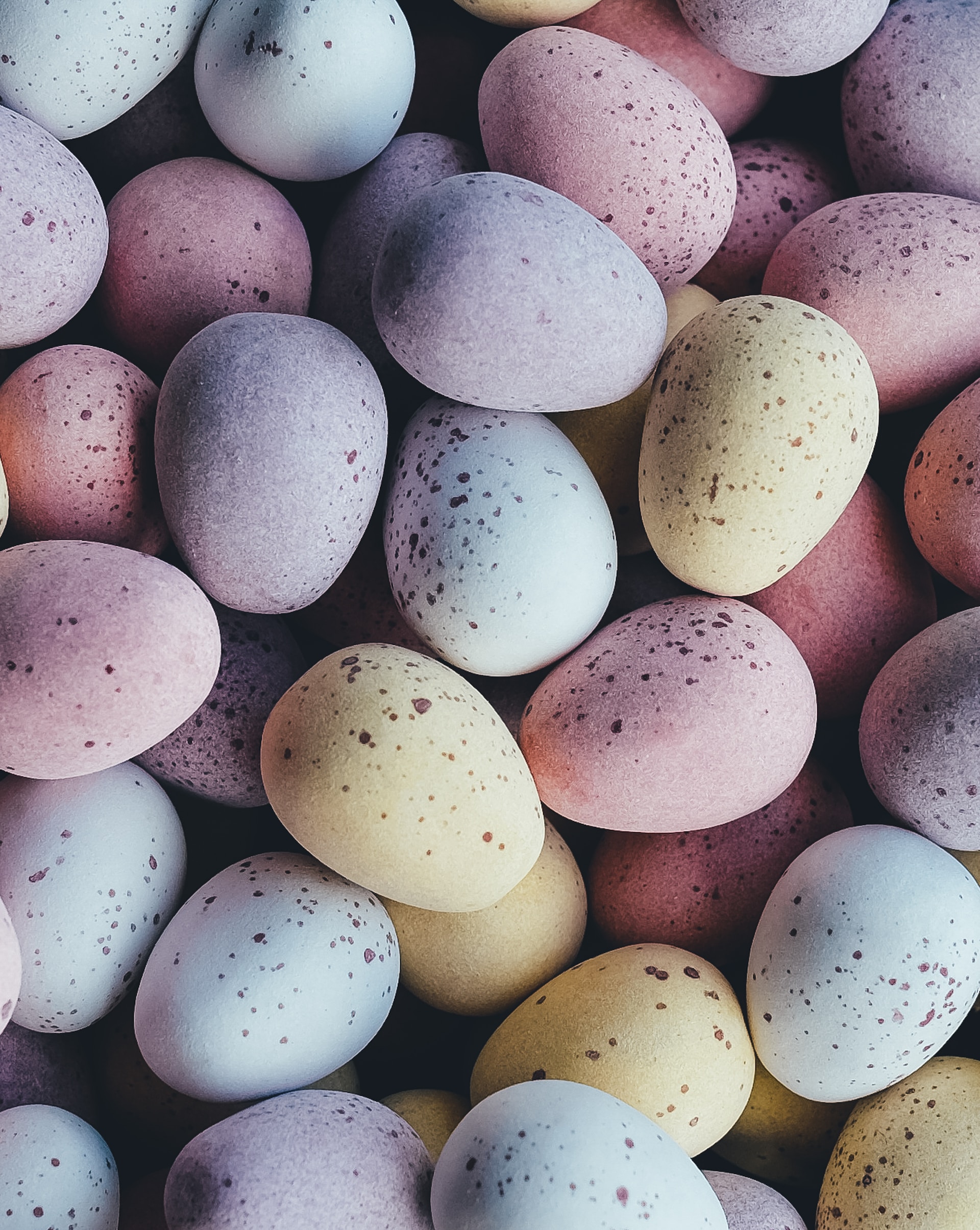Our Monthly Round-Up: April