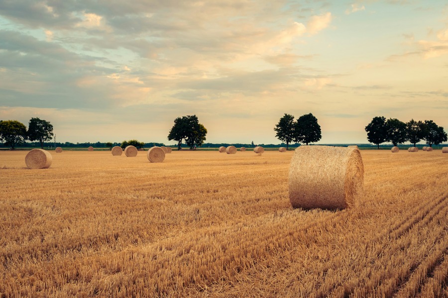Our Monthly Round-Up: August