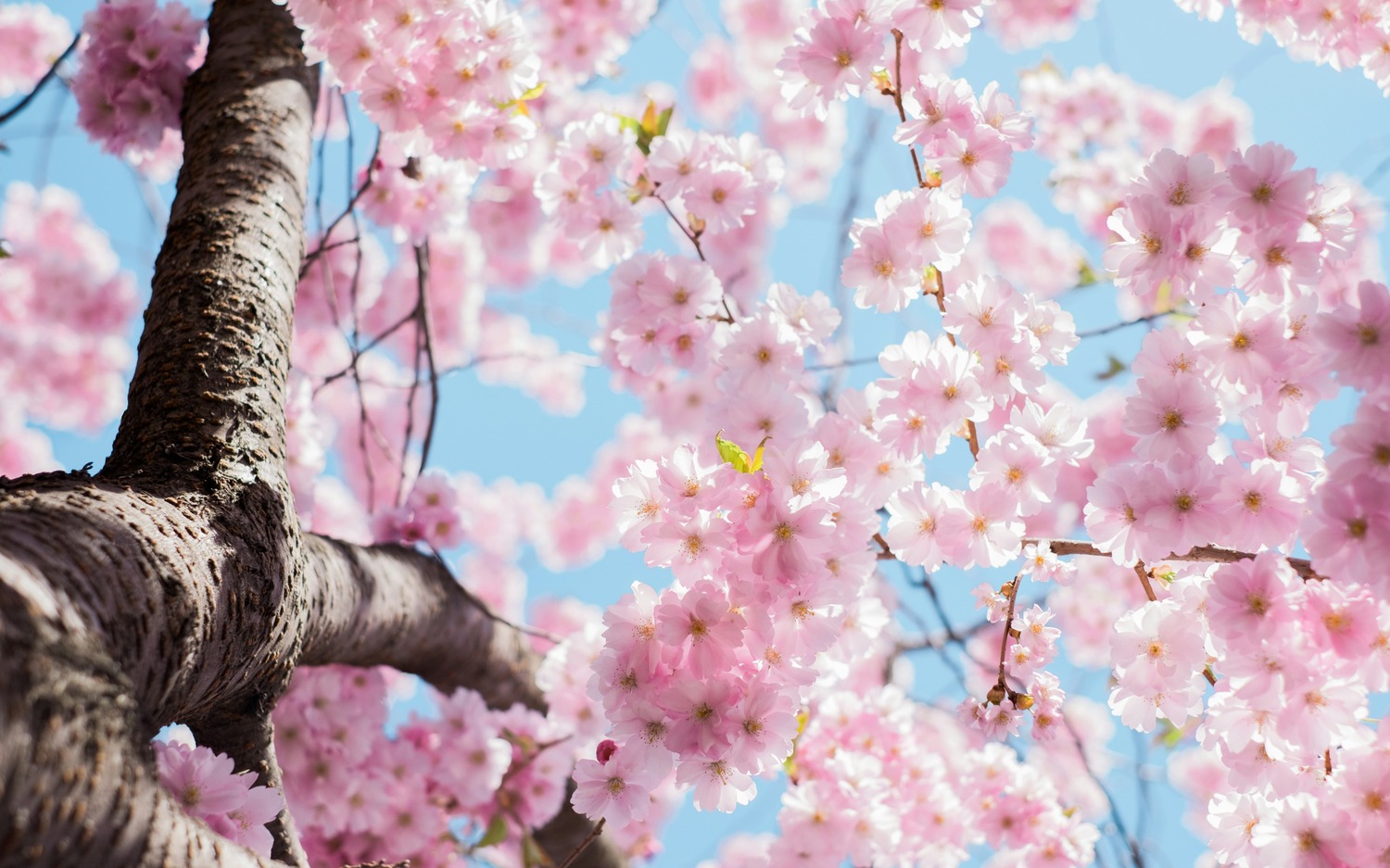 Our Monthly Round-Up: March