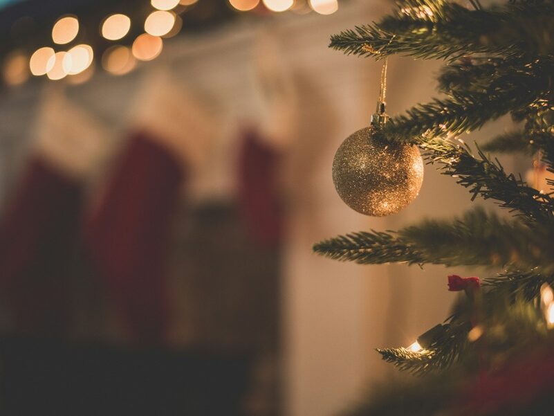 Our Monthly Round-Up: December
