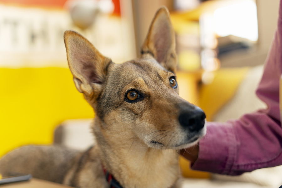 Top 10 Charity Websites Doing Ecommerce Right