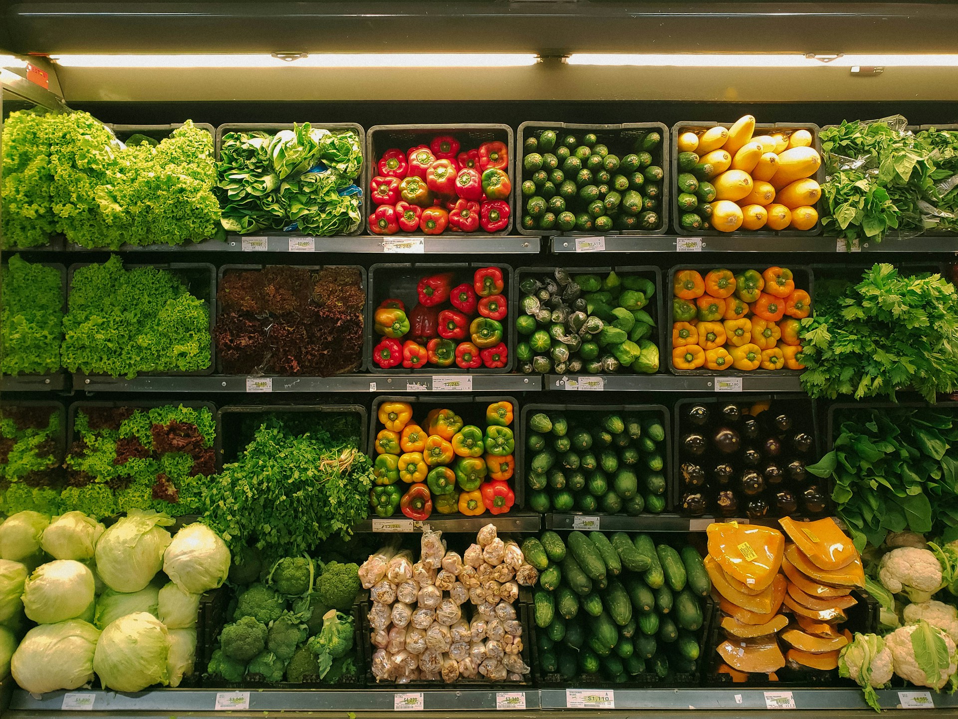 Top 14 Grocery Ecommerce Websites In 2026