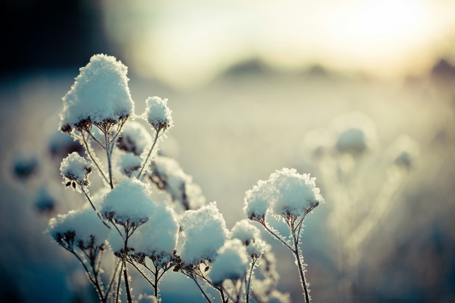 Our Monthly Round-Up: January