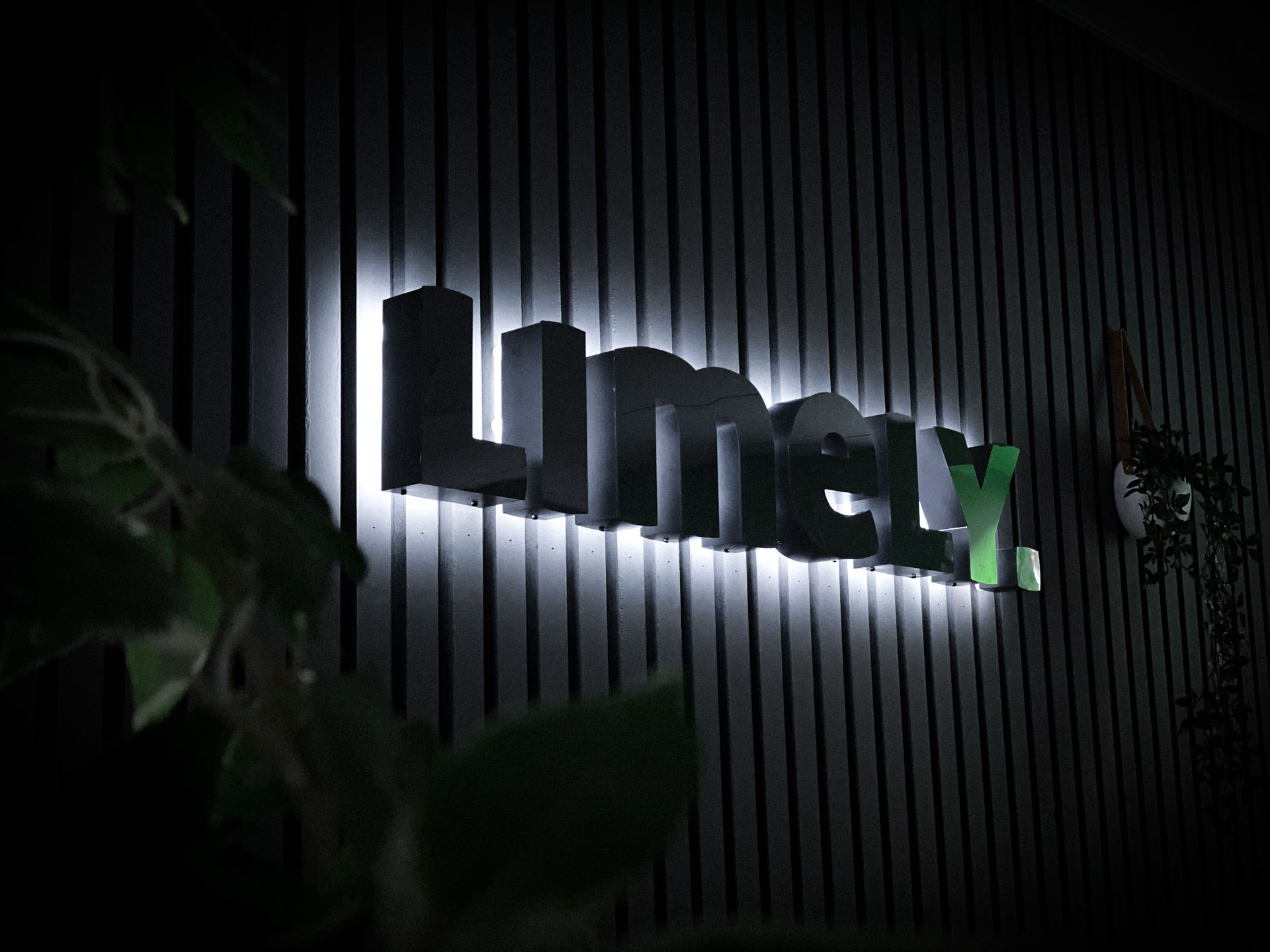 Celebrating A Decade Of Limely!