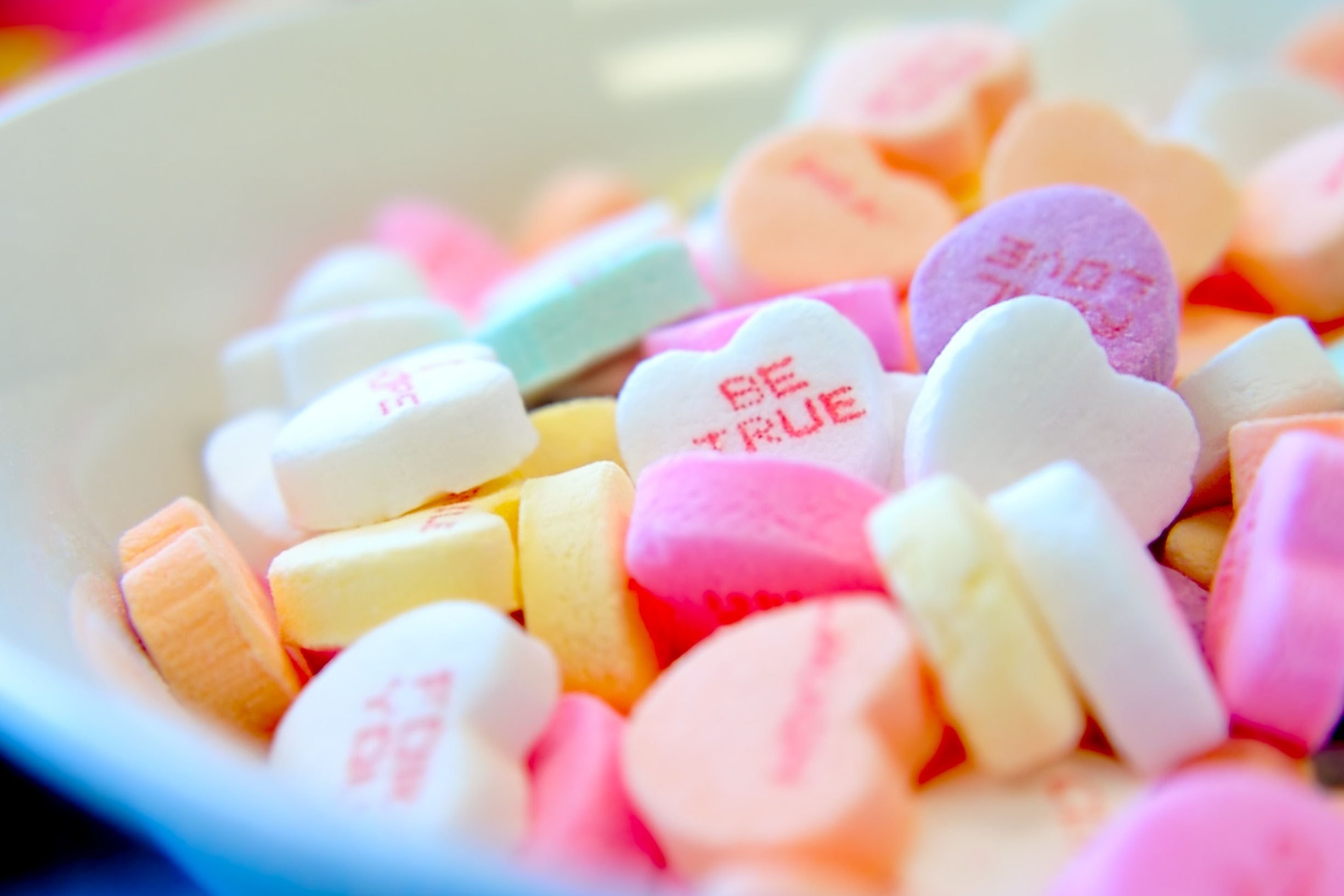 Our Monthly Round-Up: February