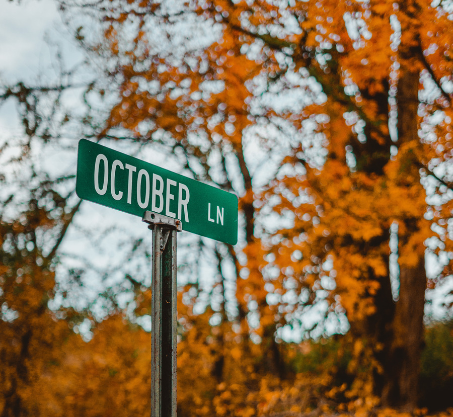Our Monthly Round-Up: October