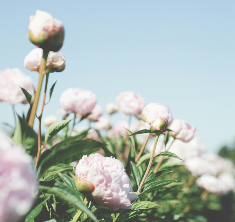 Our Monthly Round-Up: May
