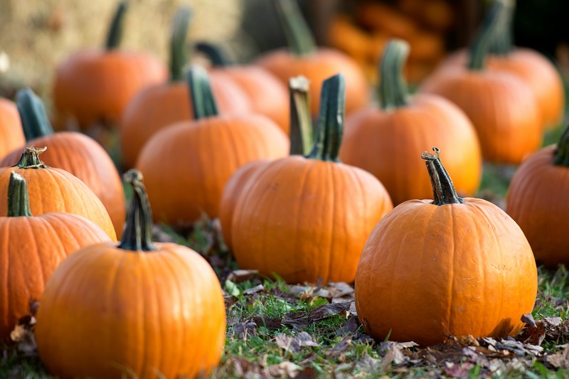 Our Monthly Round-Up: October