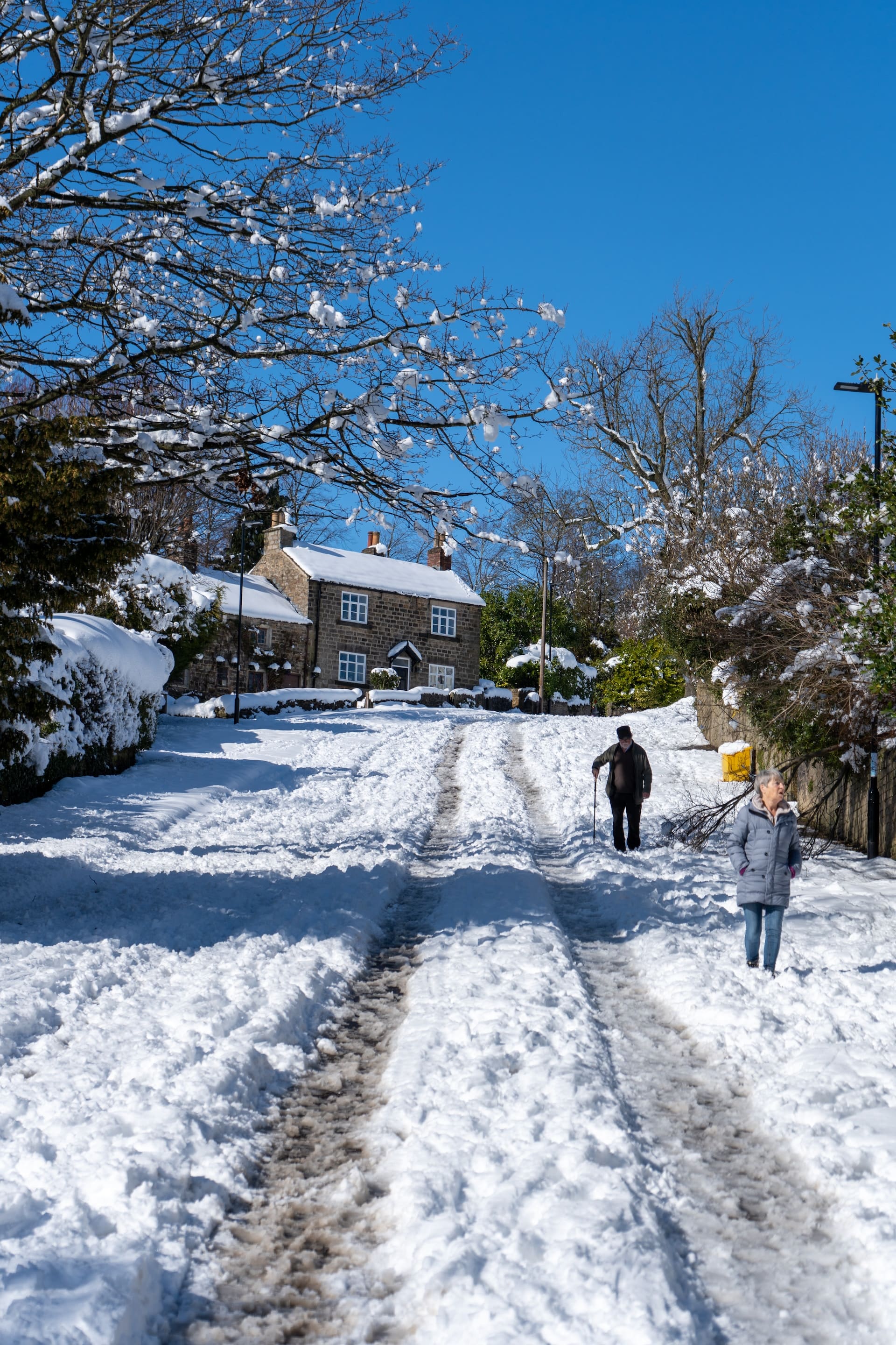 Our Monthly Round-Up: January