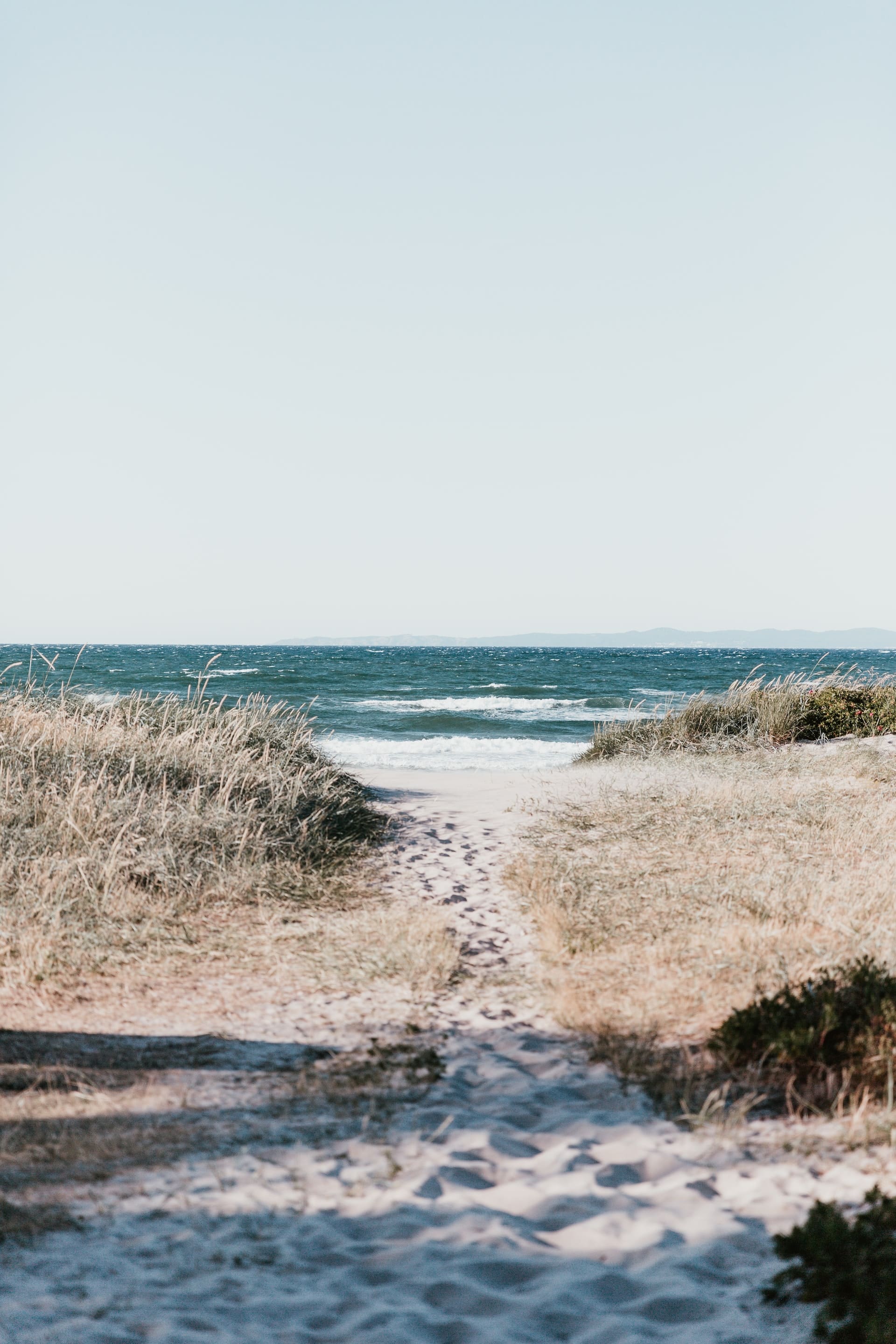 Our Monthly Round-Up: June