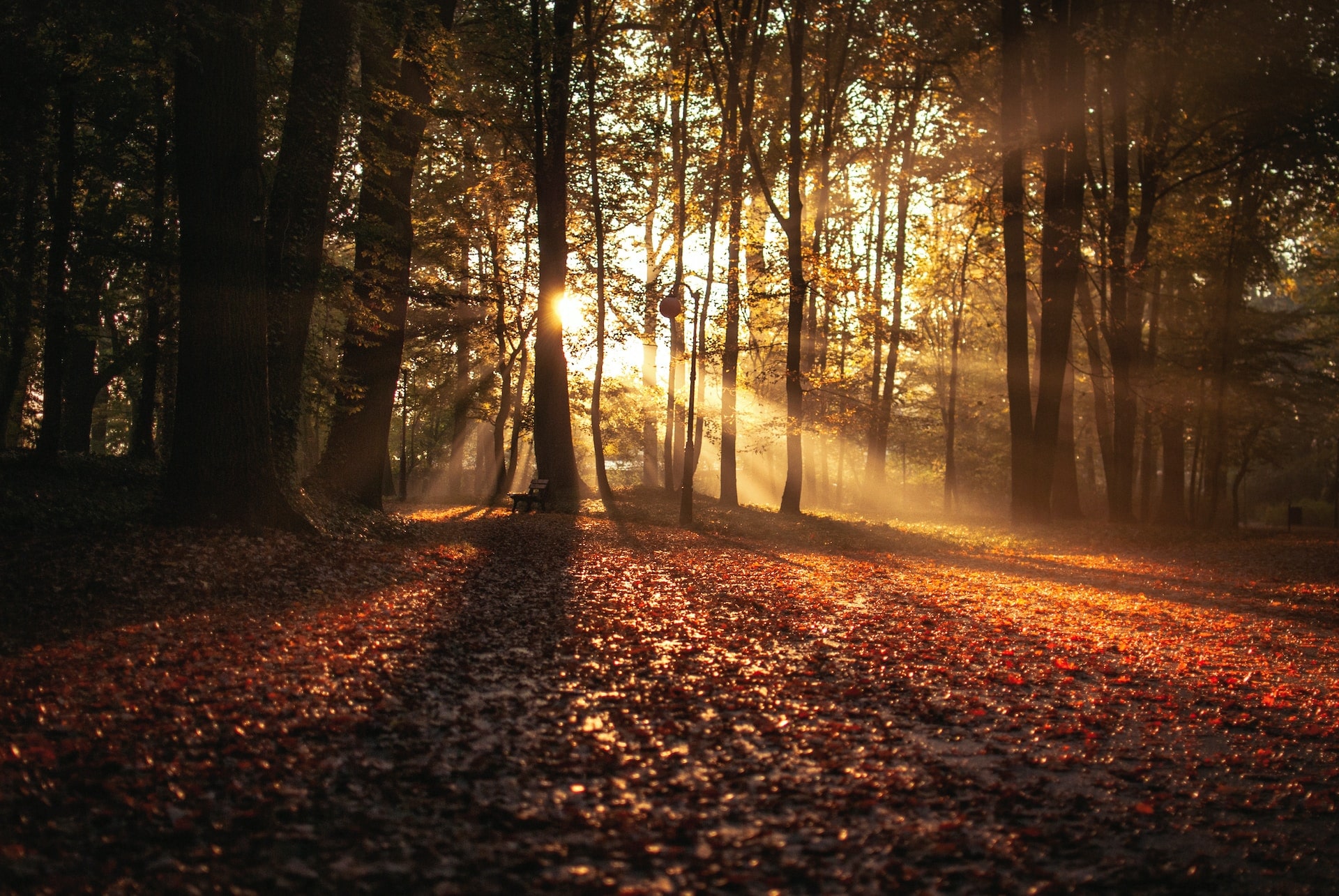 Our Monthly Round-Up: September