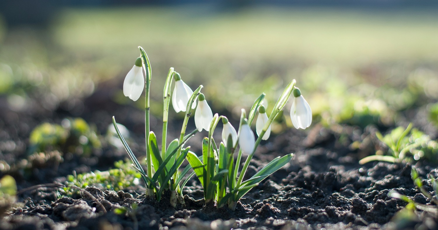 Our Monthly Round-Up: February