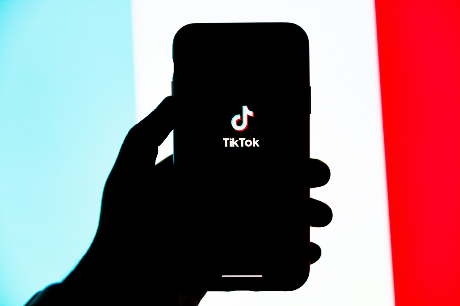 TikTok's Highest Earners: What Brands Can Learn From Their Success