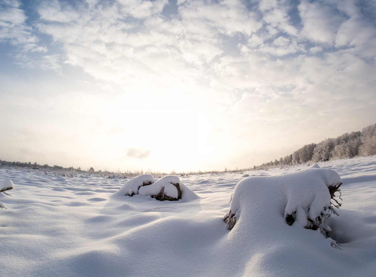 Our Monthly Round-Up: January