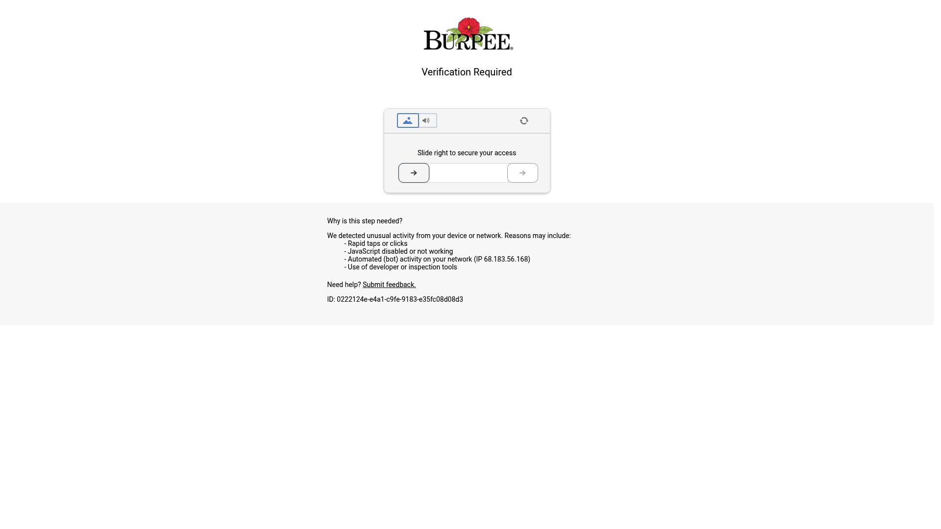 Burpee
