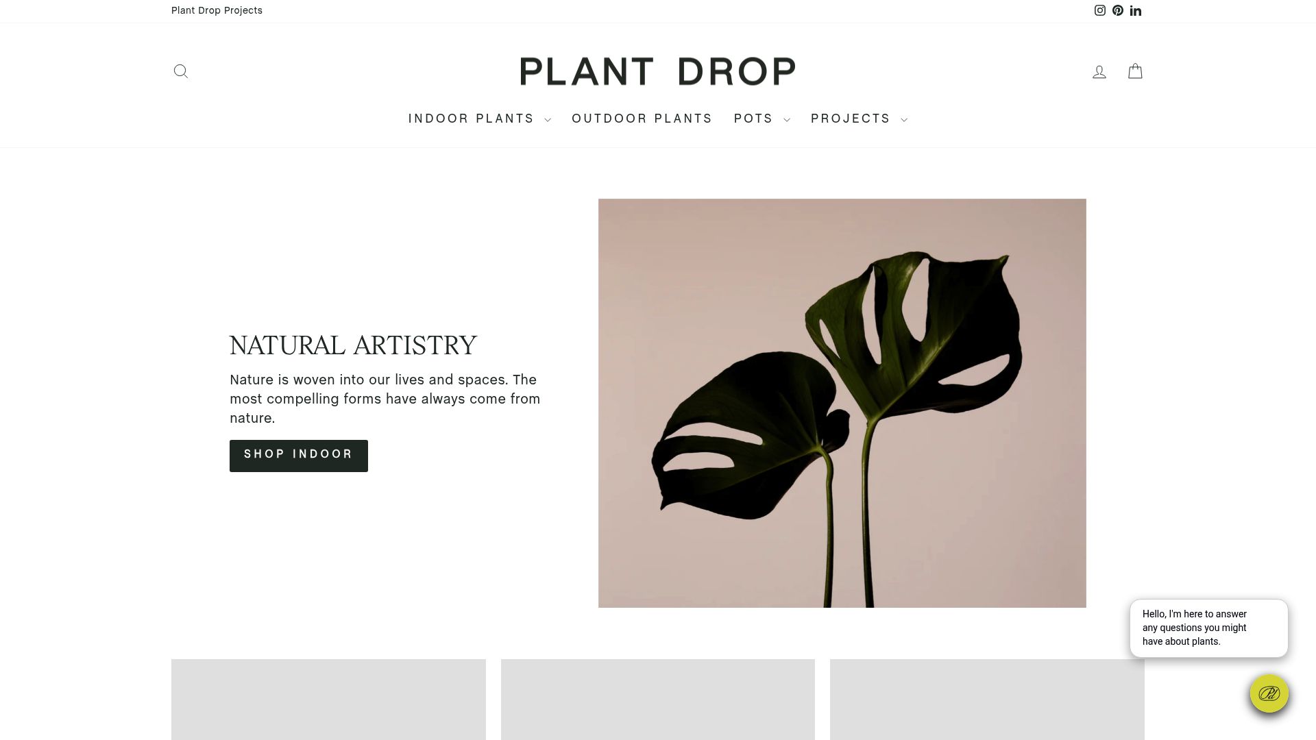 Plant Drop