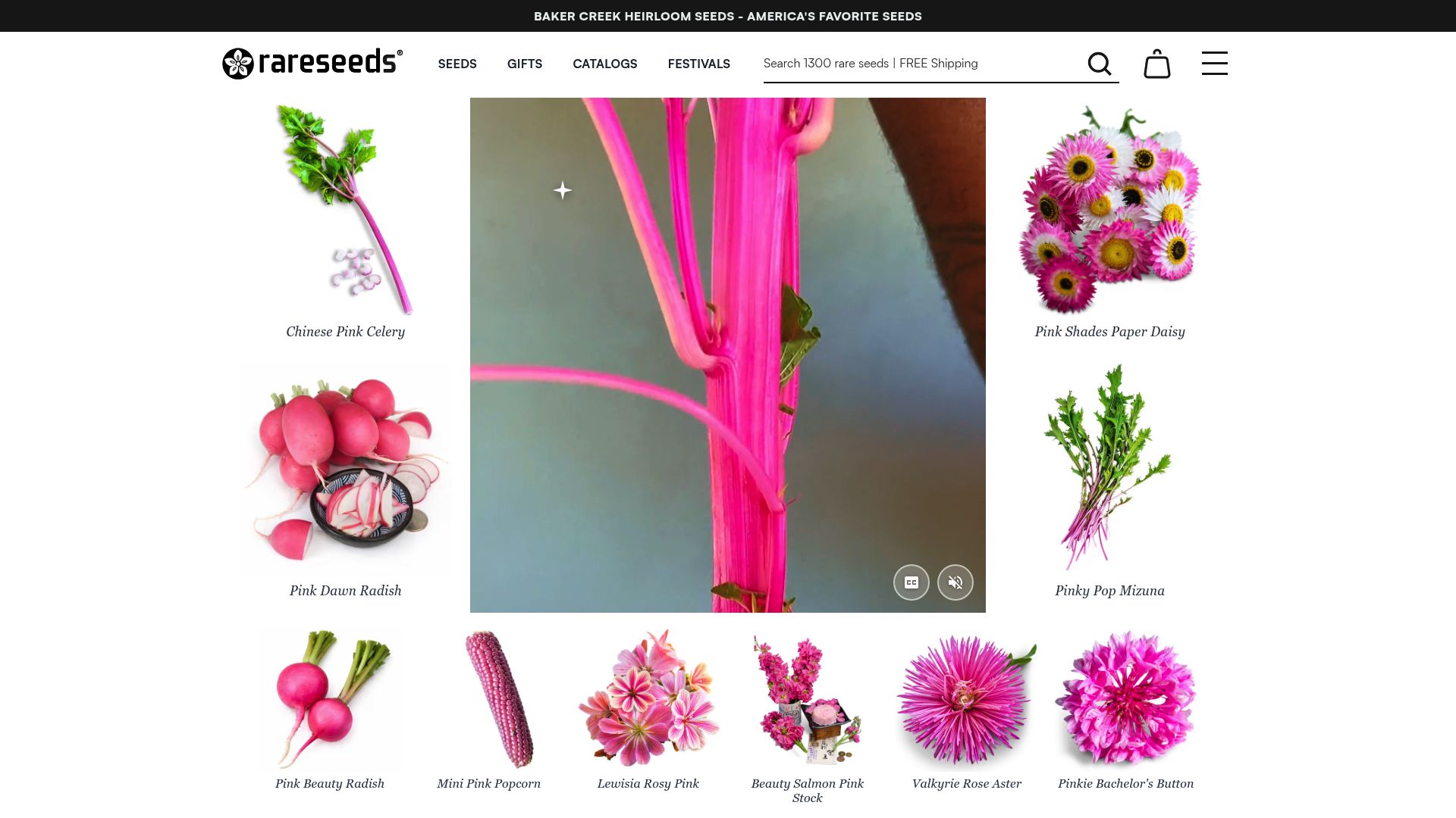 Rare Seeds