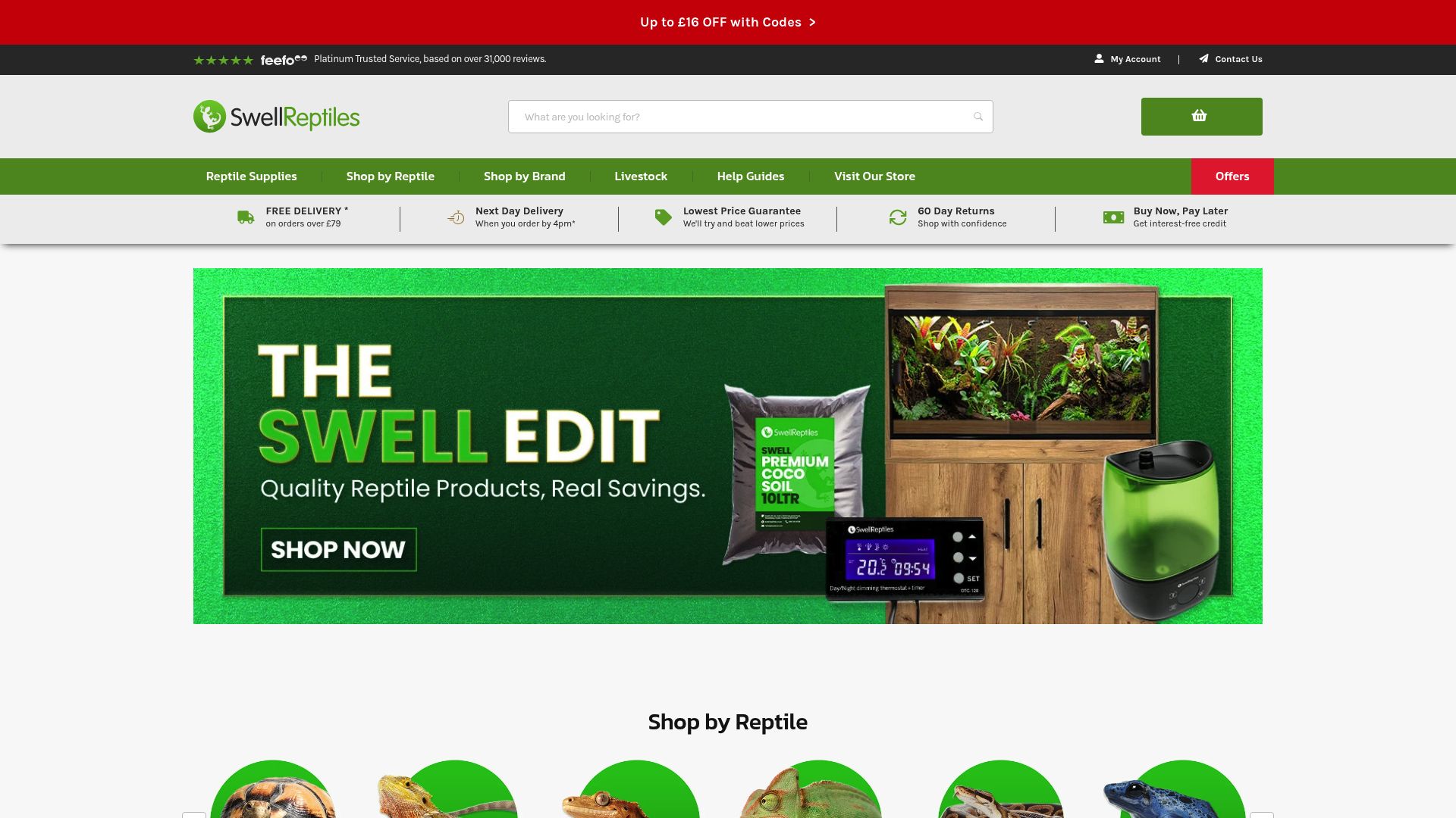 Swell Reptiles