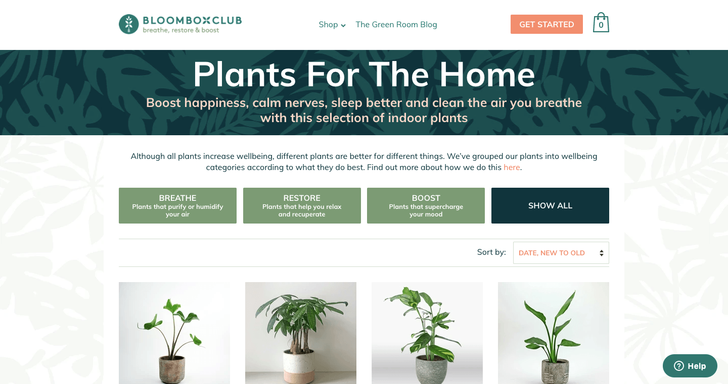 Where Can You Buy Plants Online? Limely
