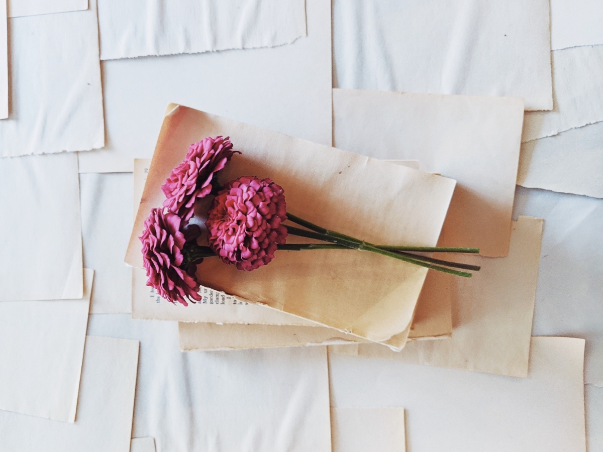 How To Sell Flowers and Plants Online Limely