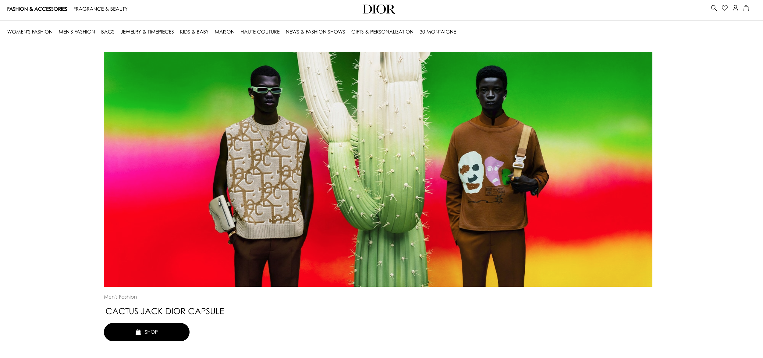 Dior Website Screenshot