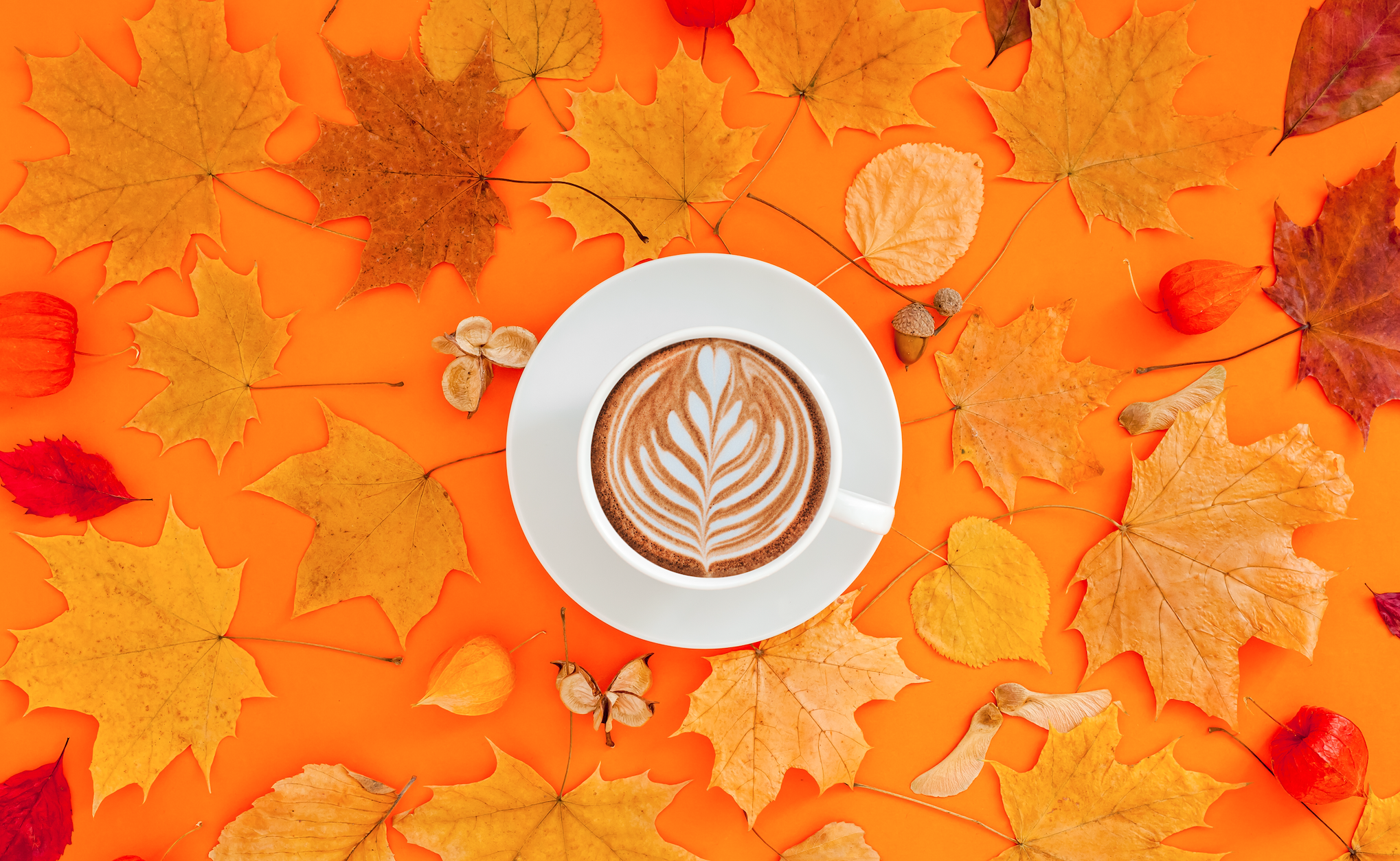 pumpkin-latte-on-background-of-autumn-leaves