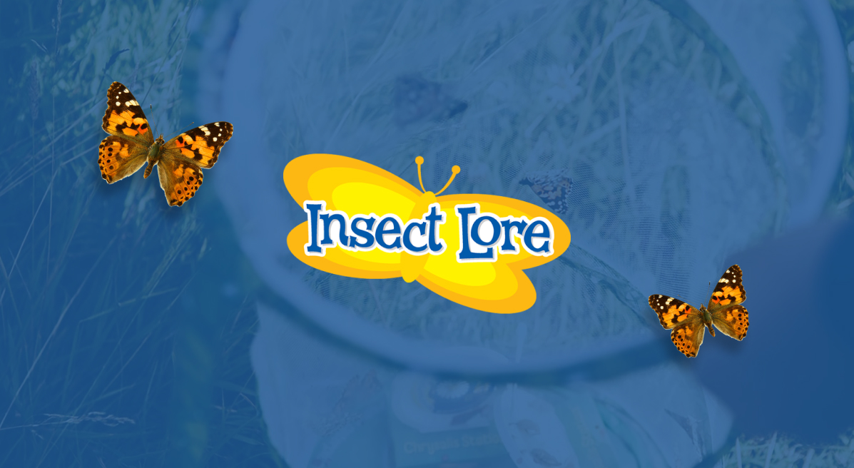 Who Are Insect Lore